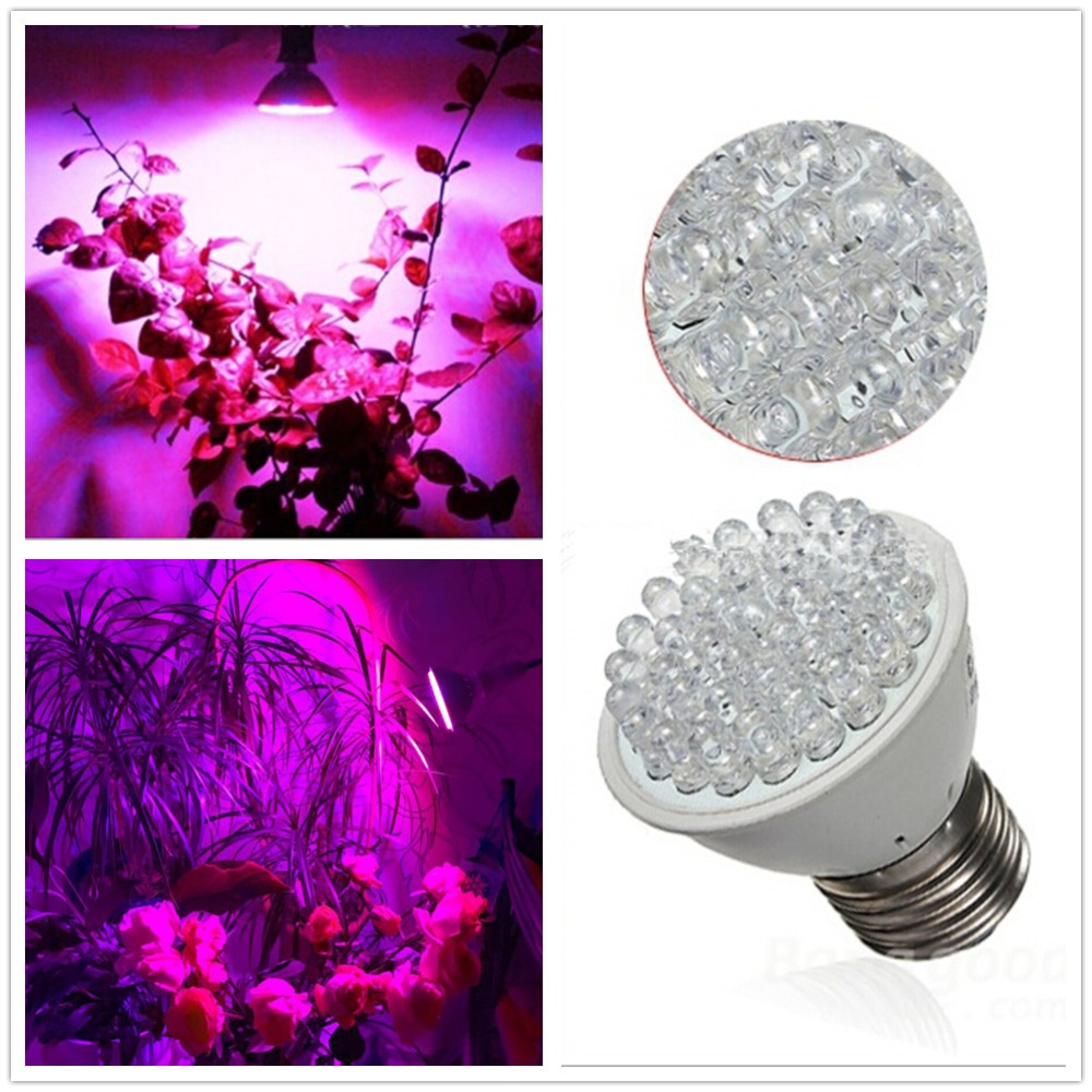 E27 110V 38 LEDs High Brightness Plant Grow Light for Indoor Garden Greenhouse Supplies Red blue light - Image 3