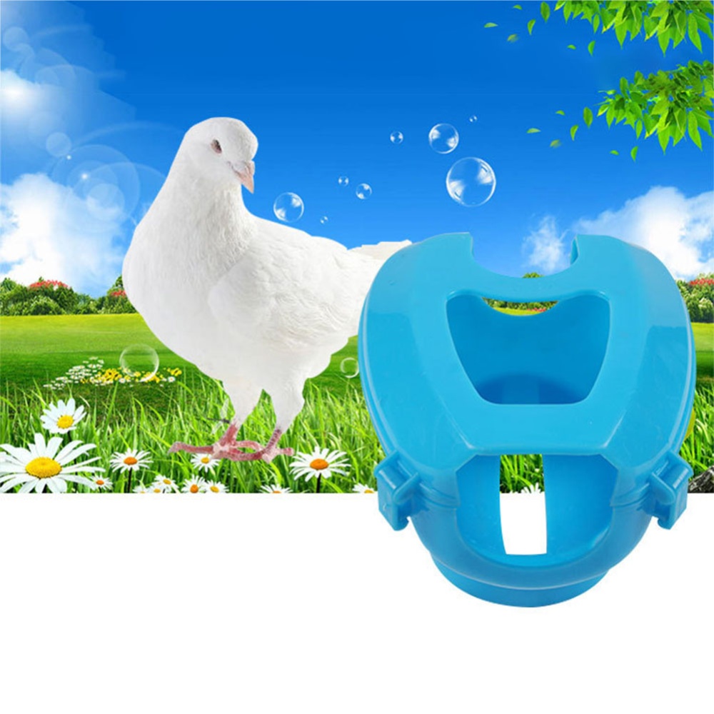 Practical Pigeons Holder Convenient Birds Fixed Frame Rack Medicine Feeder Supplies white - Image 2