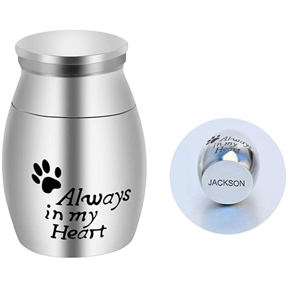 Mini Stainless Steel Paw Cremation Urn Dog Pet Cinerary Funeral Casket for Small Animals As shown