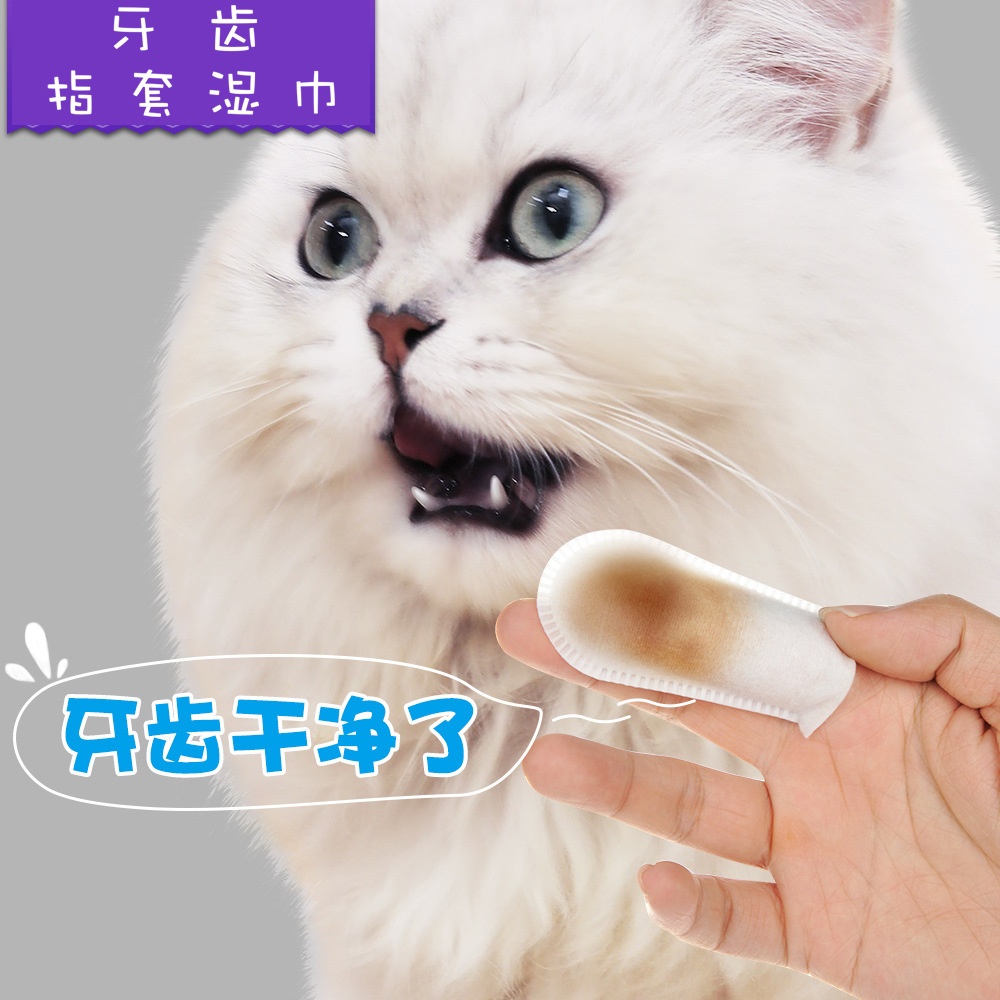 50Pcs Pet Oral Cavity Wipes Finger Cover for Cat Tartar Calculus Removing special wipes 50 pieces - Image 2