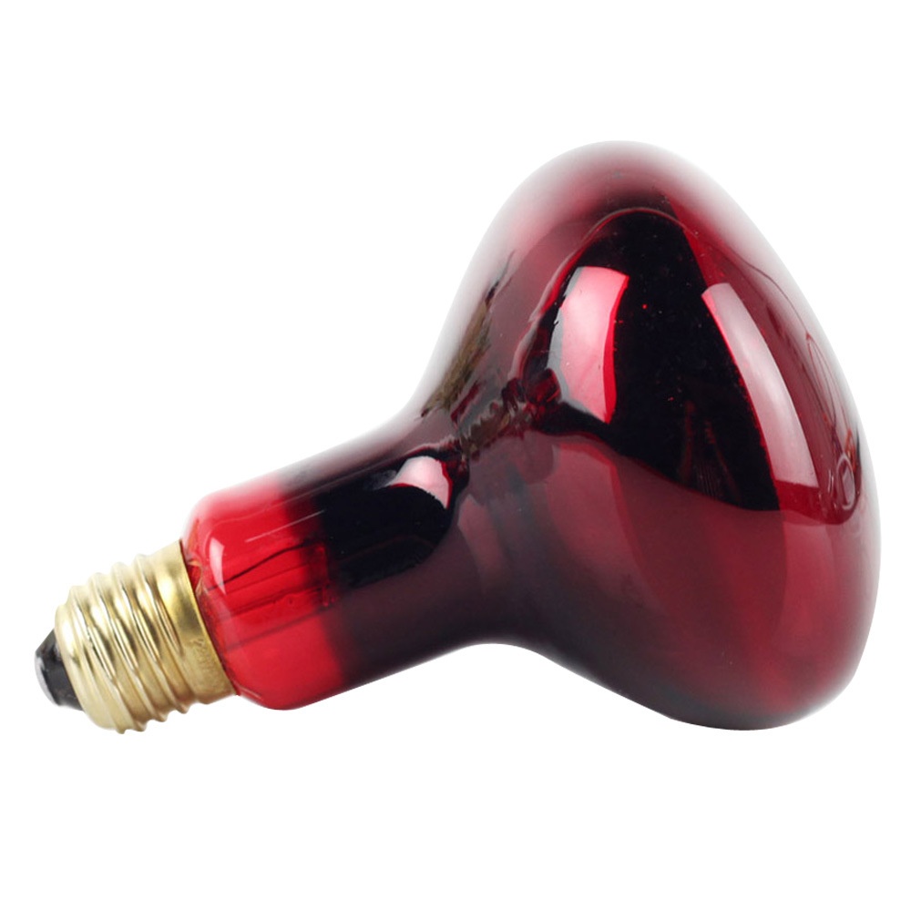 150W R95 Infrared Bulb for Lizard Tortoise Snake Heat Lamp - Image 2