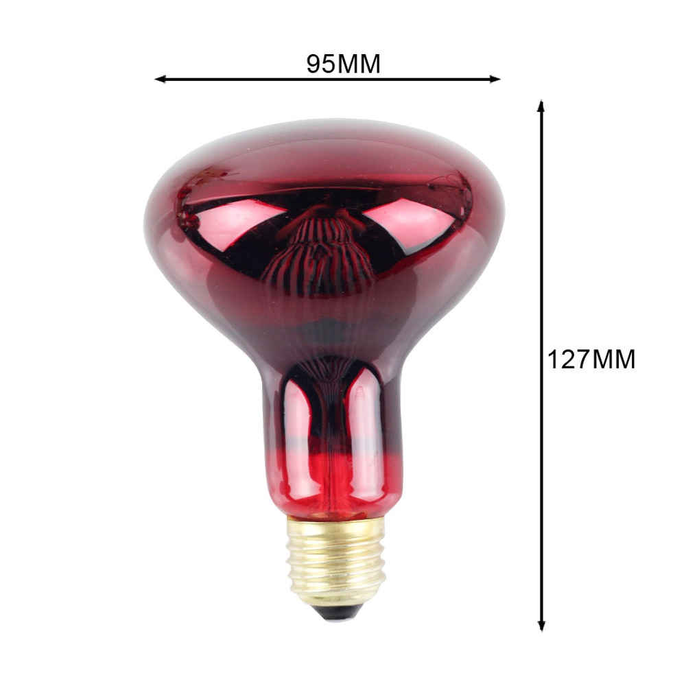 150W R95 Infrared Bulb for Lizard Tortoise Snake Heat Lamp - Image 3