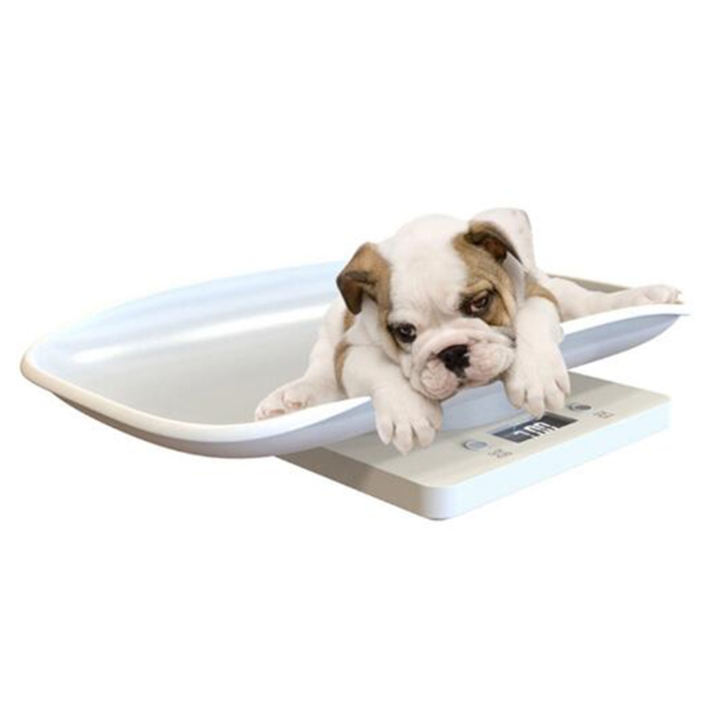 5Kg Digital Electronic Scale for Small Pet Dogs Weighing electronic scale