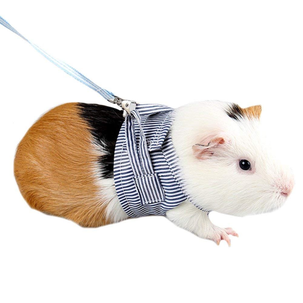 Pet Hamster Traction Strap Outdoor Training Soft Cotton Clothes Rope for Guinea Pig Blue L