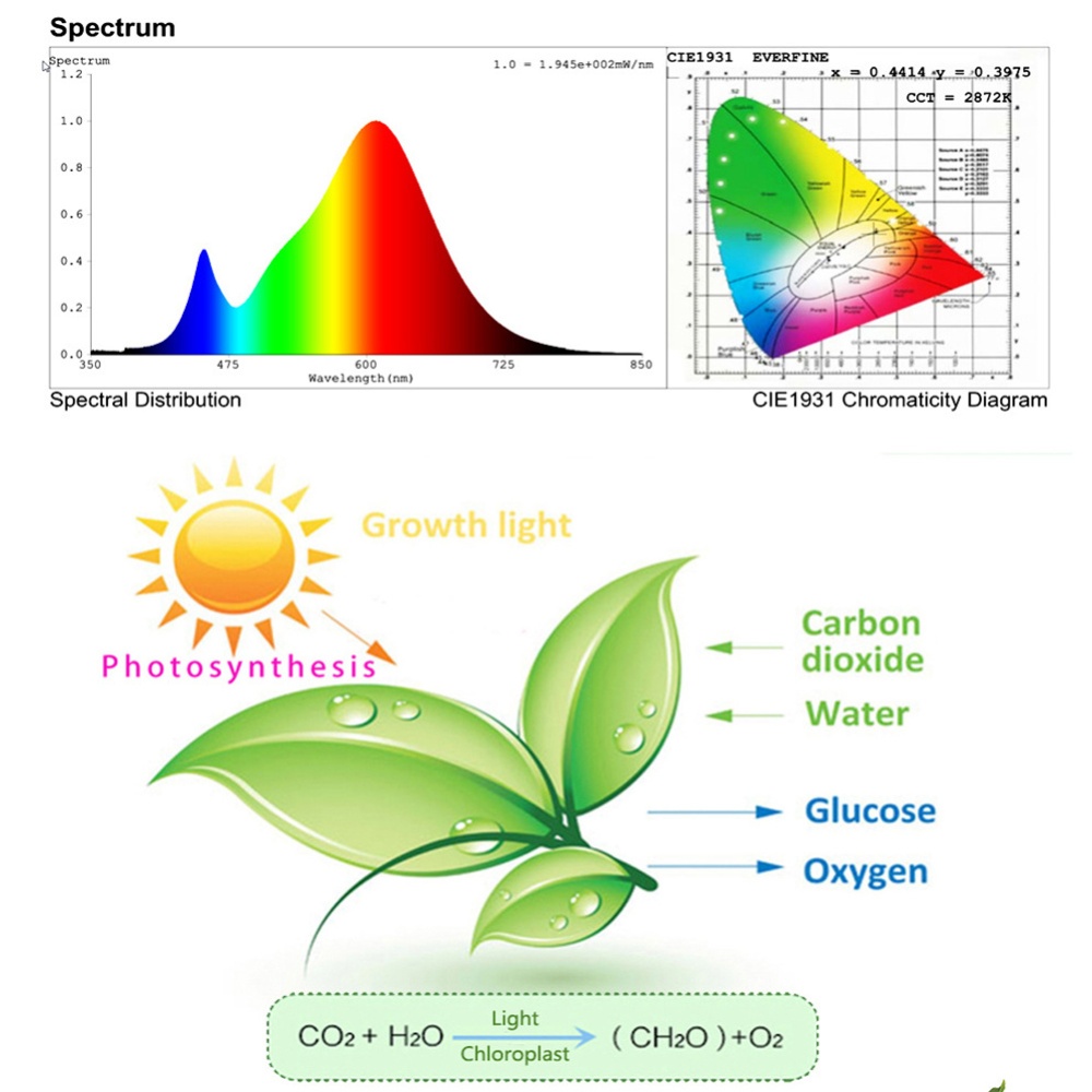 Led Full Spectrum Grow Light 220v 50w 100w Plant Growing Lamp For Indoor Hydroponics - Image 2