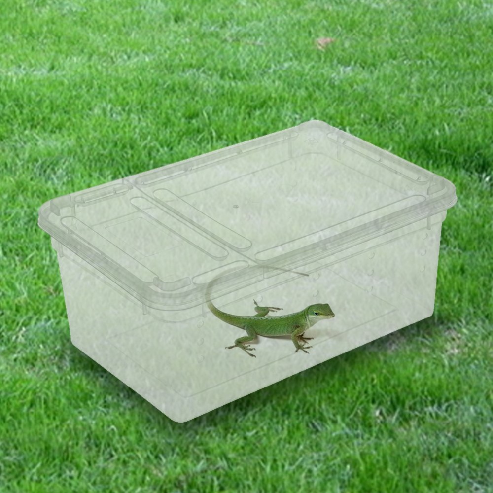 Reptilian Feeding Box Escape-proof Transparent Spider Horn Frog Turtle Snake Breeding Container - Image 2