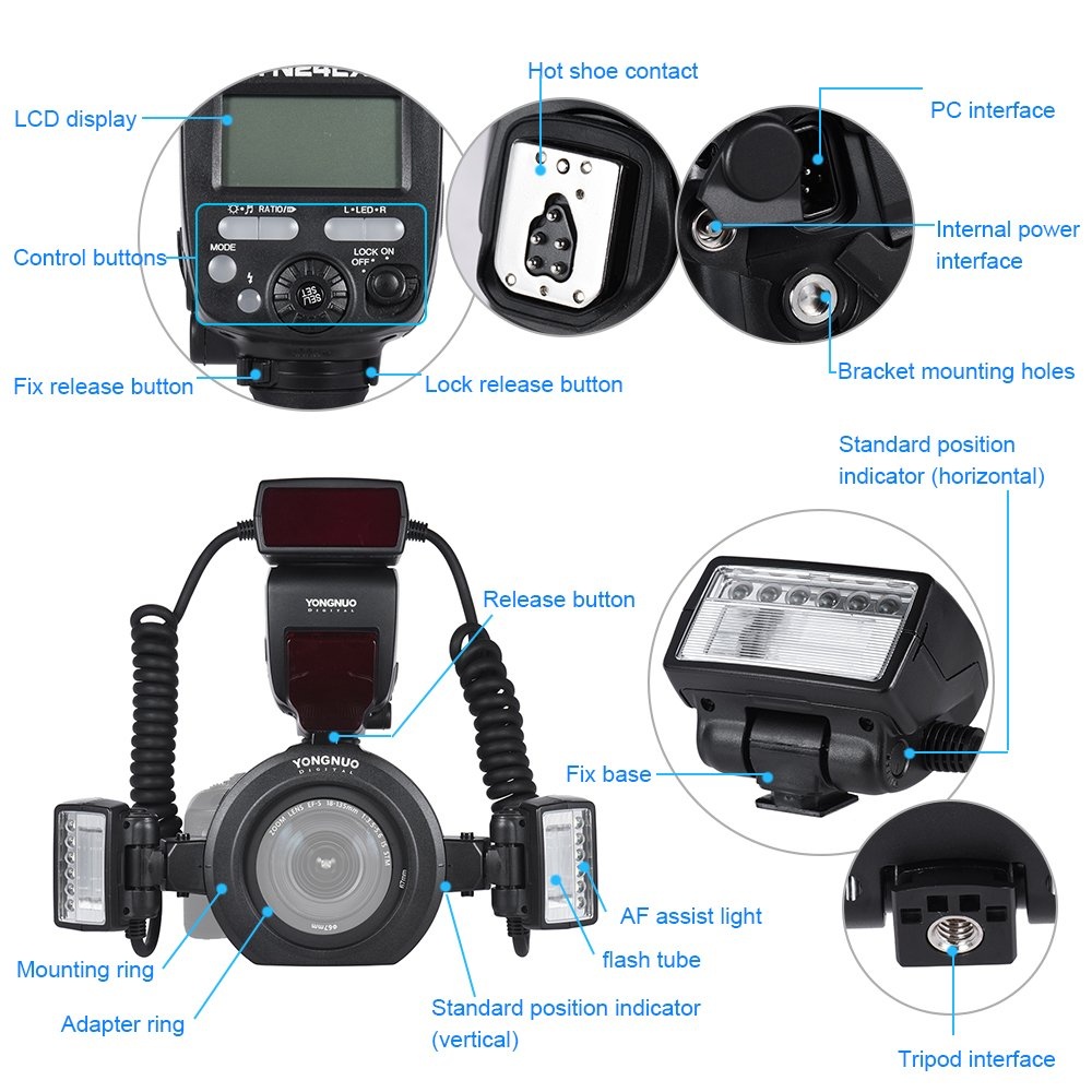 Original YONGNUO YN24EX E-TTL Macro Flash Speedlite 5600K Heads Adapter Rings for Canon EOS 1Dx 5D3 6D 7D 70D 80D Cameras - Image 2