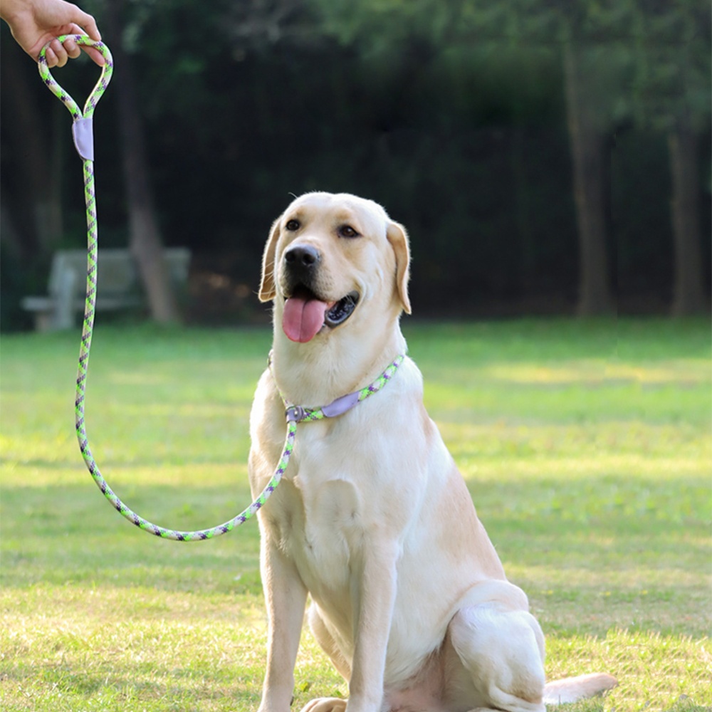 150cm Adjustable Pet Walking Training Leash Wear-resistant Reflective Leads Rope For Medium Large Dogs purple leather green flower M-medium- - Image 2