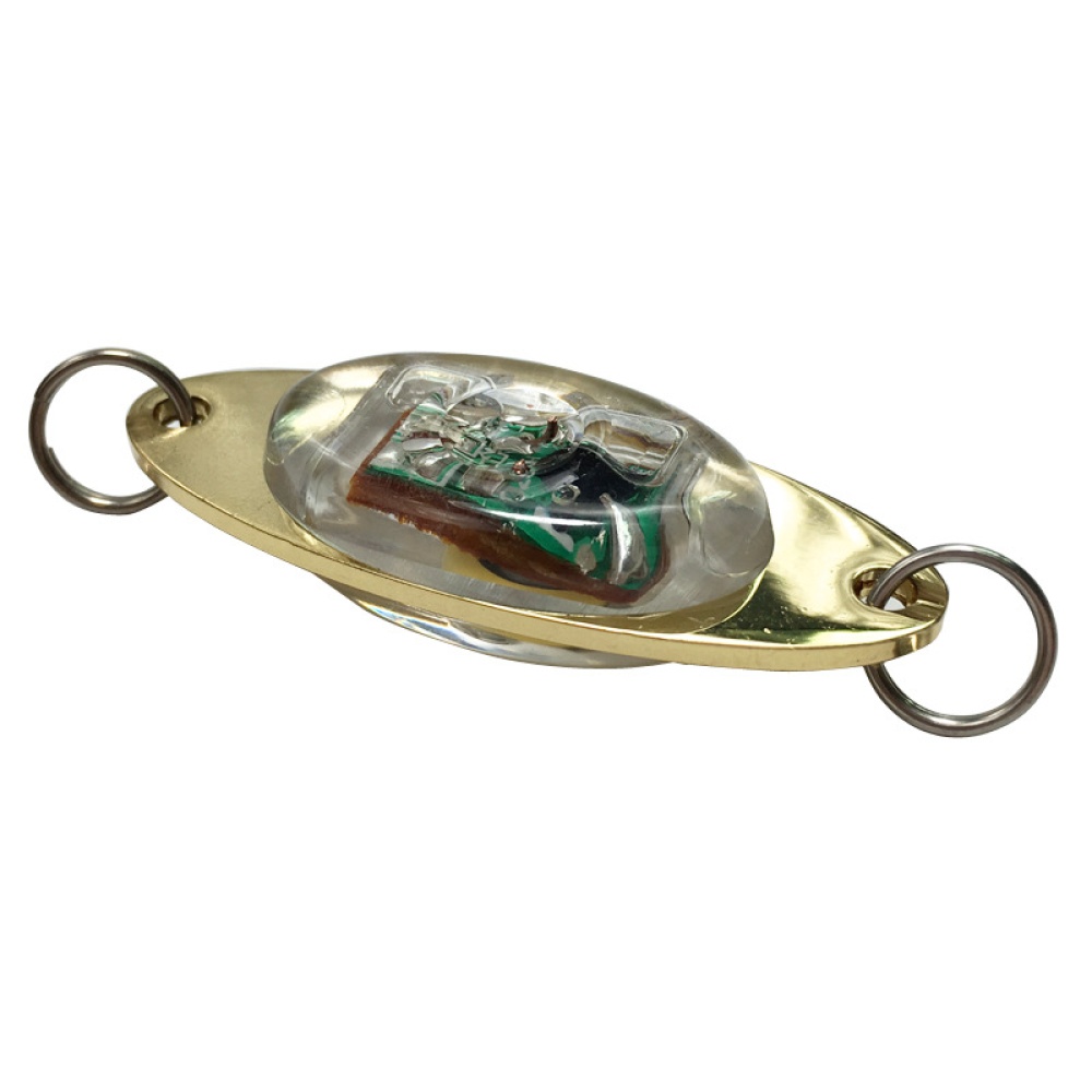 Outdoor Fishing Light Flash Lamp LED Deep Drop Underwater Eye Shape Squid Fish Lure color_3.8G - Image 3