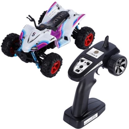 Rirder 5 GP TOYS S609 RC Car 30+MPH 4WD High Speed 1/24 Drive Train 4 Channels Remote Control Road Motorcycle Outdoor To