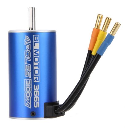 3665 4 Poles 3100KV Brushless Motor for RC Car Boat(Blue) - Image 2