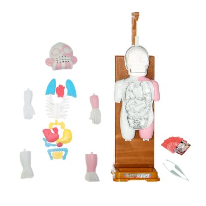 Halloween Horror Spoof Gift Human Body Model Stitching Children Educational Toys - Image 3