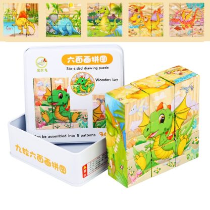 Iron Box 9 Cube Six-Sided Pattern Building Blocks Puzzle Children Early Education Wooden Toy(Dinosaur World)