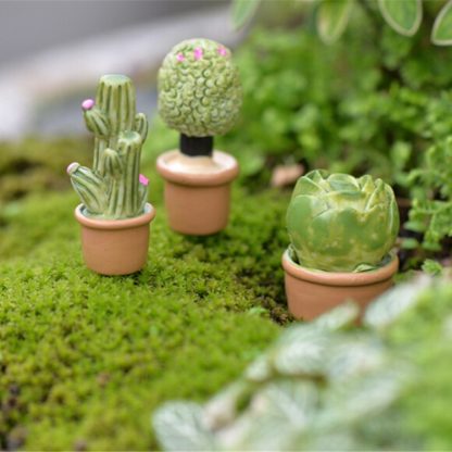 10 PCS Home Decoration Mini Succulents Miniature Green Plants Potted Toys,  Random Style Delivery - Image 3