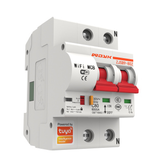 Tuya Smart Life 10A-125A 2P WiFi disjoncteur intelligent Protection contre les courts-circuits de surcharge fonctionne avec Alexa Google Home - 10A