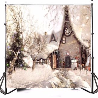 10x10FT vinyle noel neige betiment photographie toile de fond fond Studio prop