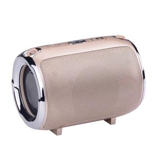 S518 Haut-parleur Subwoofer sans fil Bluetooth avec bande Bluetooth Radio TF USB AUX Audio - Dore