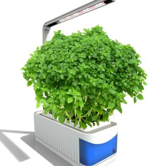 Plante intelligente bleue lampe 8W maison et bureau plantation d'interieur reglement europeen/americain/britannique lumiere d'usine intelligente - prise britannique