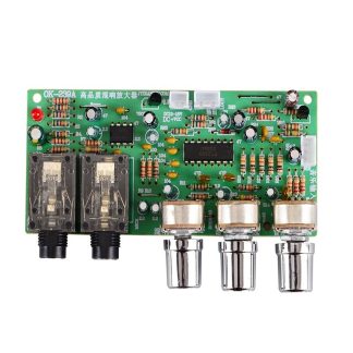 Carte de mixage de reverberation karaoke amplificateur de puissance avant DC12V Microphone exterieur amplificateur de puissance de voiture carte de mixage