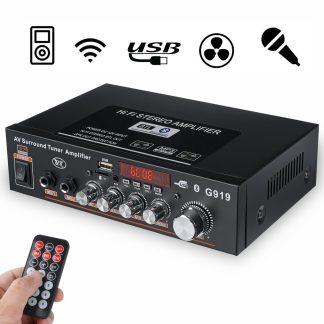 Amplificateur de puissance numerique intelligent Mini amplificateur de puissance vehicule domestique e double usage 110-220V vehicule DC12-24V - nous brancher