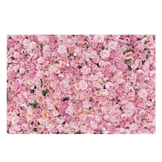 Romantique Rose Rose Fleur Toile de Fond Photographie Studio Fond Photo De Fete De Mariage - 2,7 x 1,8 m b