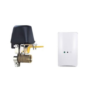 Commutateur WiFi intelligent eWeLink TUYA pour contreleur de vanne d'eau GW-RF systeme domotique vanne de contrele de gaz fonctionne avec Alexa Google
