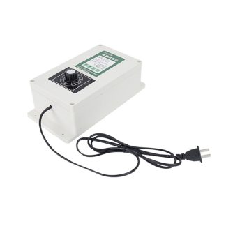 110V 2000mg / 1000mg / 500mg Generateur d'ozone Air Sterilisateur e eau Purificateur Fruits Outil - 500 mg